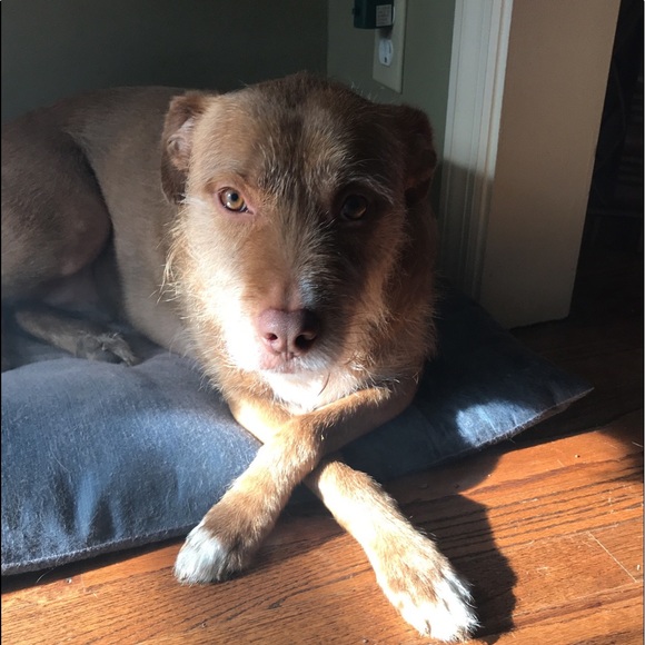 Meet your Posher, Brenna - Picture 8 of 8